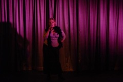 Lady-is-a-tramp-2