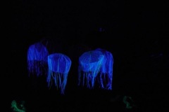 UV-scene-3